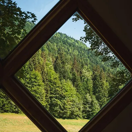 Hébergement de vacances La Pomme De Pin Perchée, Romantique Pour 2